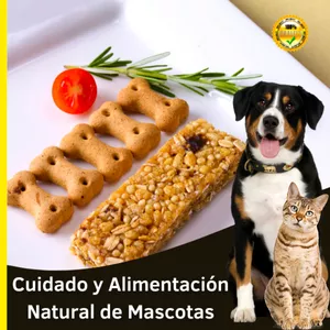 Correcto Cuidado de tu Mascota