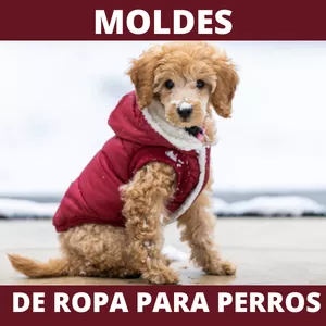 Moldes de Ropa para Perros